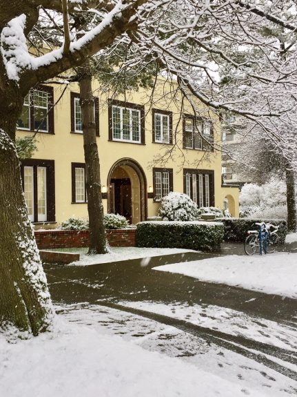 Building/snow